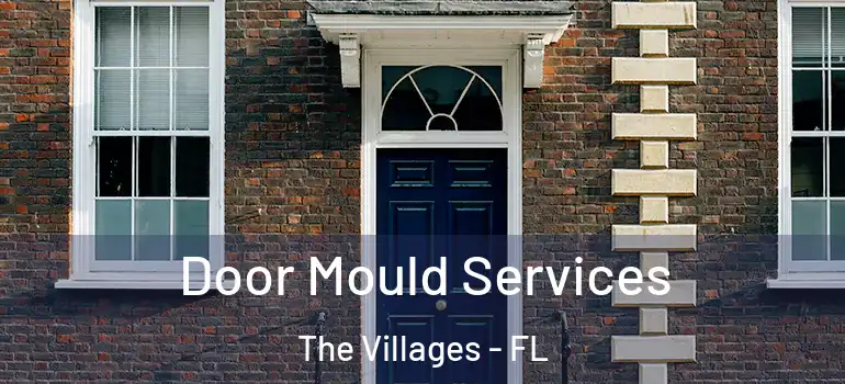  Door Mould Services The Villages - FL