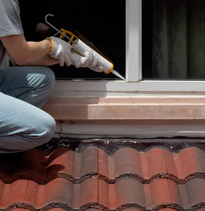 Roof Window Services in The Villages, Florida