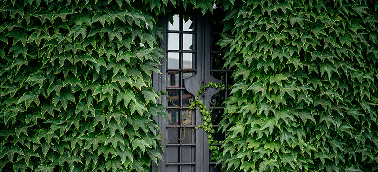 Garden Gate Repair in The Villages, FL