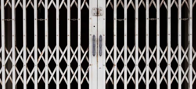 Steel Line Garage Door Repairs in The Villages, FL