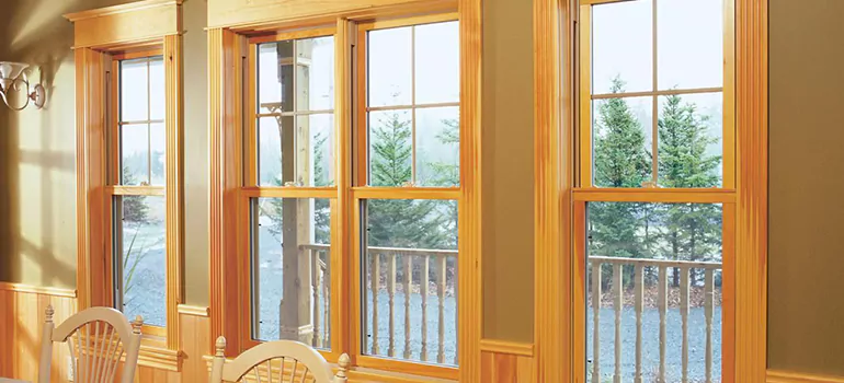 Government Incentives For Replacement Windows in The Villages, FL