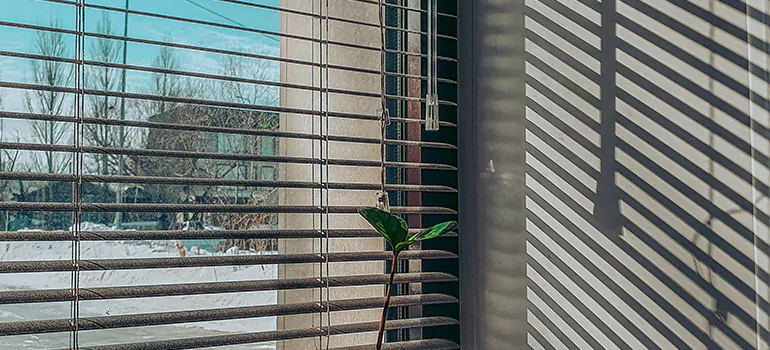 Commercial Window Blinds in The Villages, FL