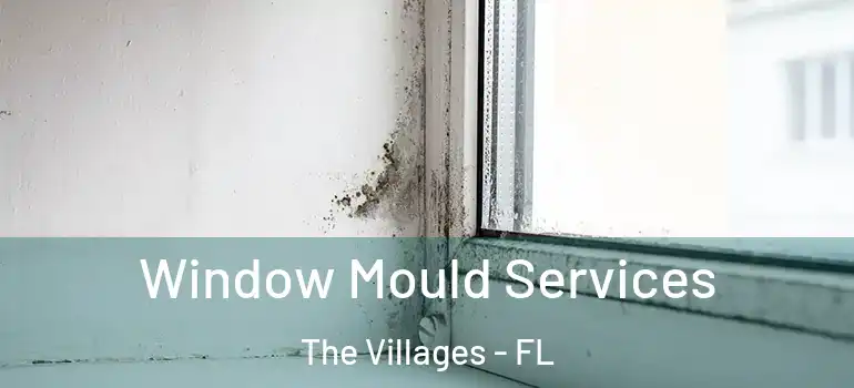  Window Mould Services The Villages - FL